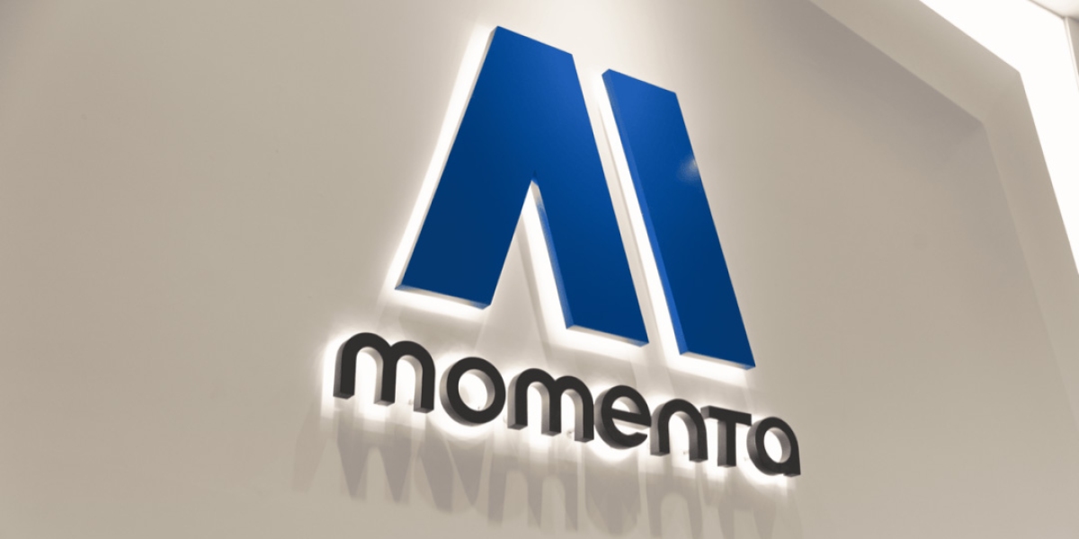 Momenta, Autonomous Driving Firm Backed by BYD, Reveals IPO Growth Surge