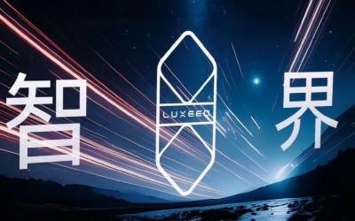 Luxeed's New Sales Chief Faces a Problem Bigger Than Marketing