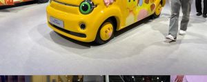 bjauto2026022
