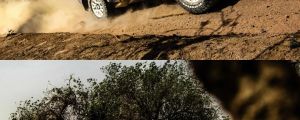 kgwm003