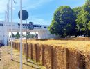 goodwood260015